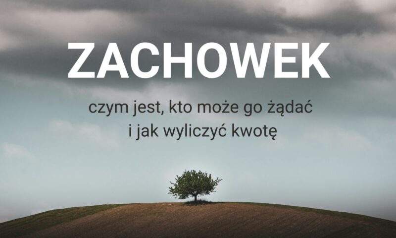 Zachowek – czym jest, kto może go&nbsp;żądać i&nbsp;jak wyliczyć kwotę